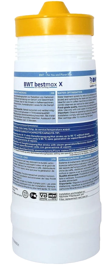 BWT Bestmax x water filter